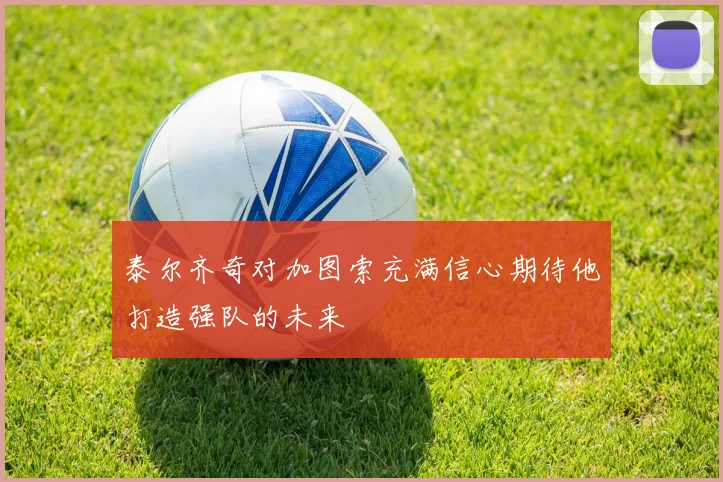 泰尔齐奇对加图索充满信心期待他打造强队的未来