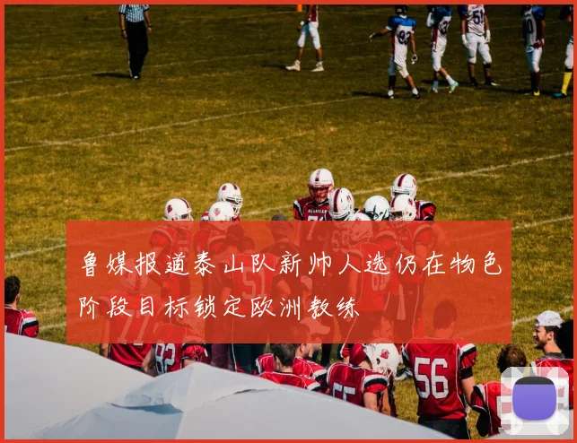 鲁媒报道泰山队新帅人选仍在物色阶段目标锁定欧洲教练