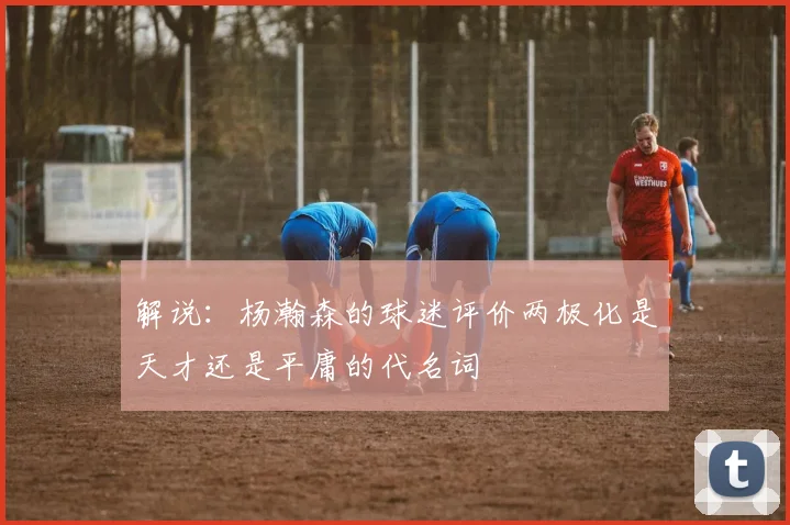 解说：杨瀚森的球迷评价两极化是天才还是平庸的代名词