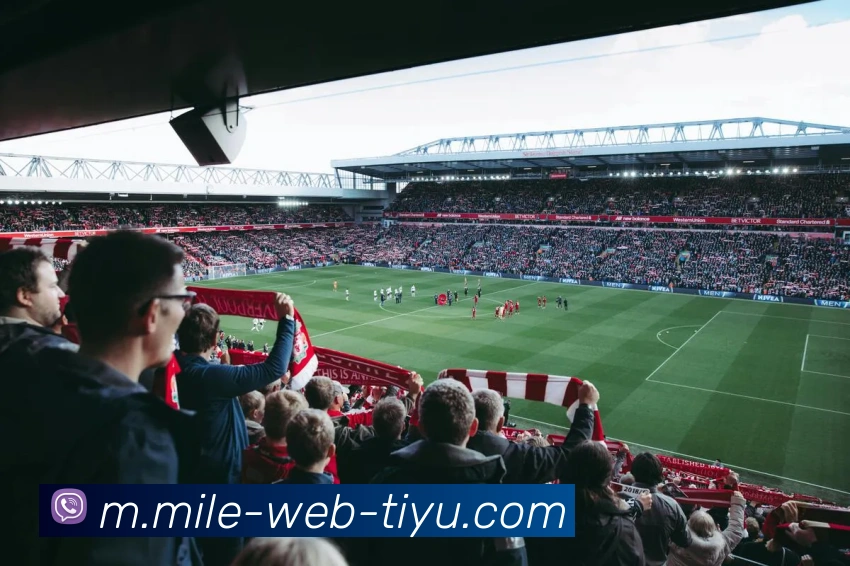 米乐体育平台生态图