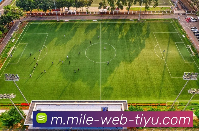 米乐体育APP 封面图