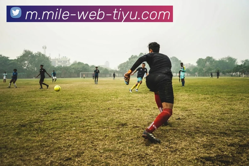 数据防护可视化